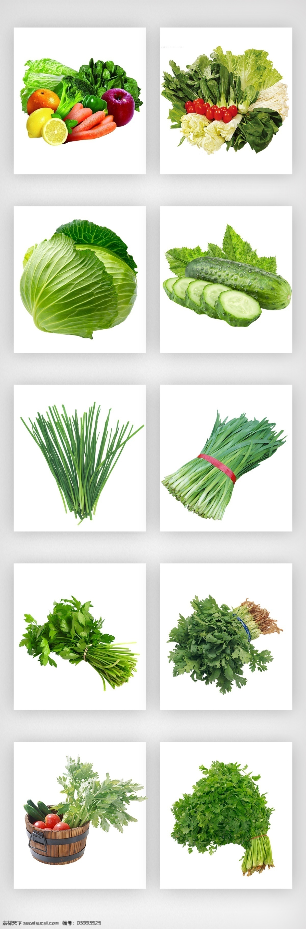 蔬菜 实物 元素 参考