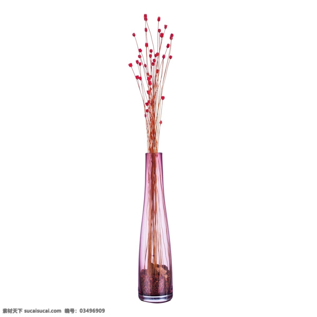 红色 植物 花朵 花瓶 元素 大自然 环境 纹理 质感 盛开 装饰 纹理质感 插画 春季 真实
