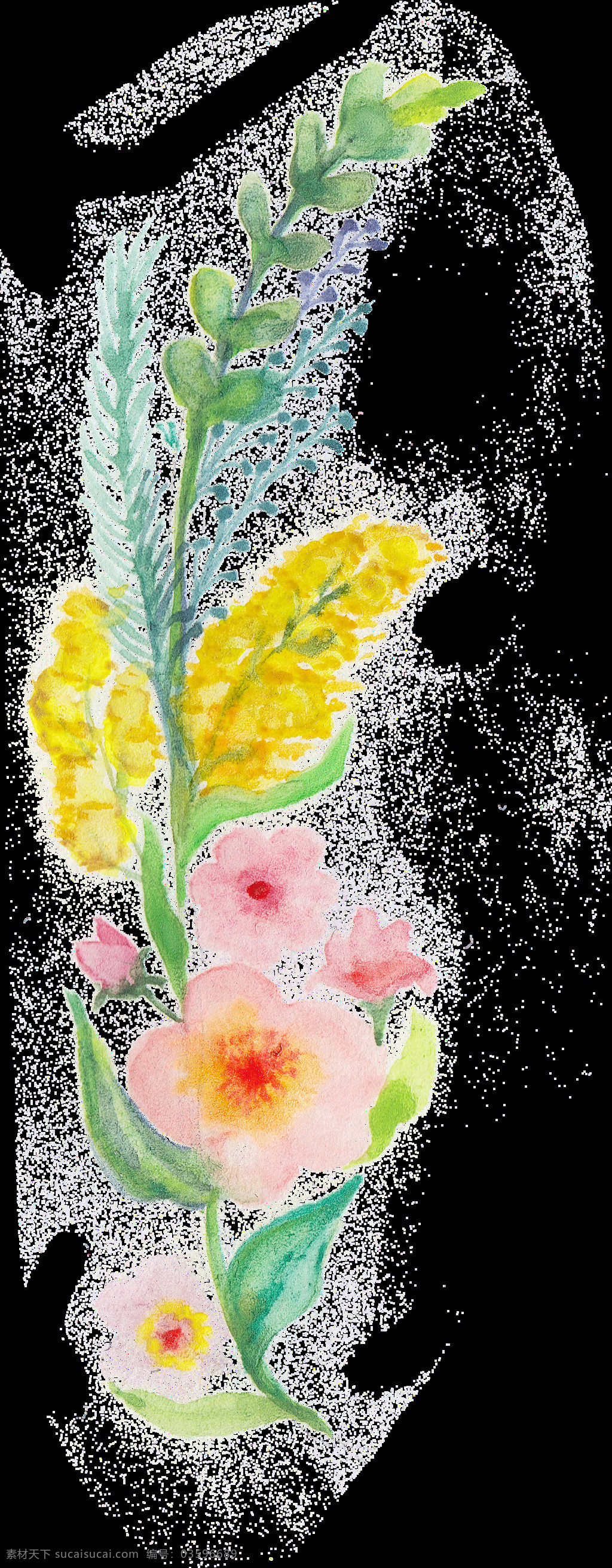 手绘 彩色 花卉 透明 合集 免 扣 插画 粉色 花瓣 花朵 卡通 蓝色 绿色 绿叶 手账素材 淘宝