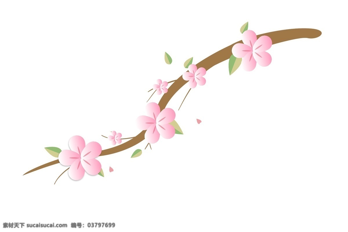 盛开 粉色 樱花 插画 盛开的樱花 卡通插画 鲜花插画 花朵插画 花瓣插画 樱花插画 绿色的叶子