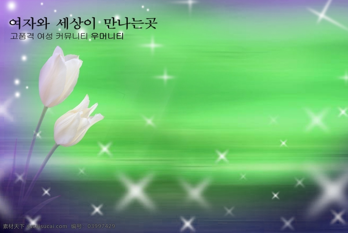 荷花 背景 图 苫 尘 巴 妓 夭 南 略 psd源文件