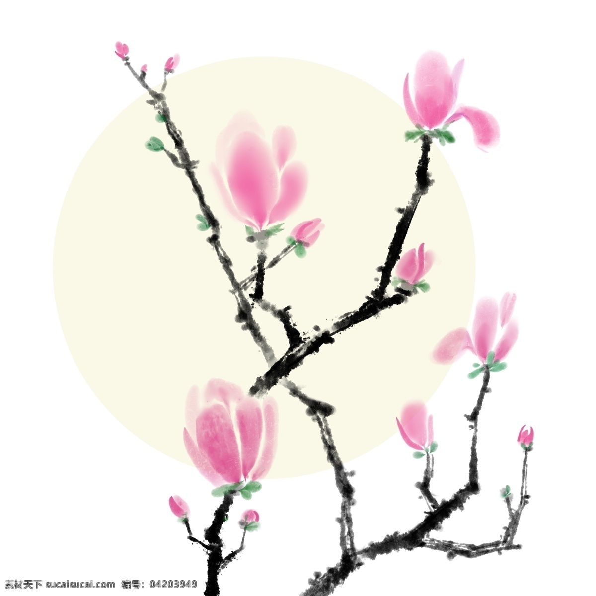 中国 古风 粉红色 玉兰 花分 图 层 中国风 国画 玉兰花 水墨画