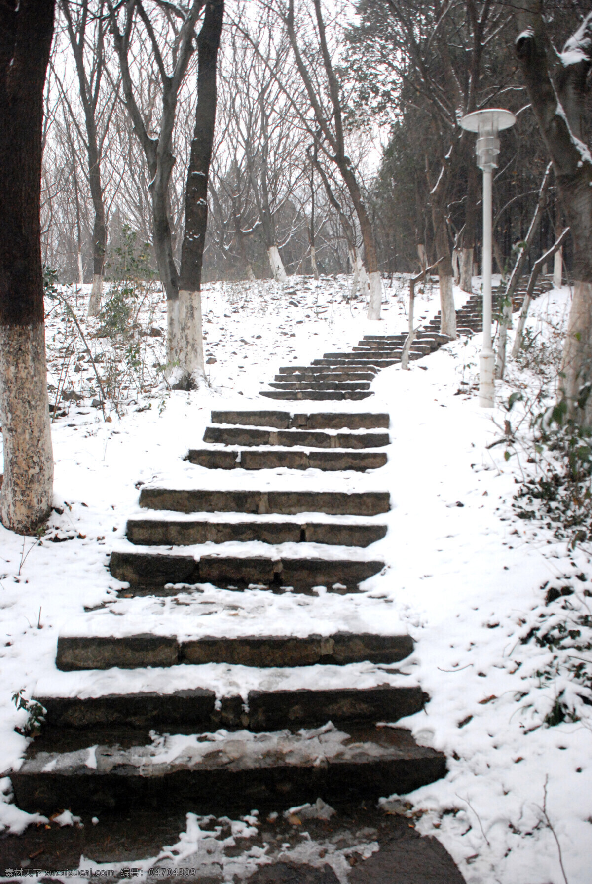 远方的路途 林荫小道 冬天的雪 积雪初化 延伸的阶梯 小道 自然风景 自然景观