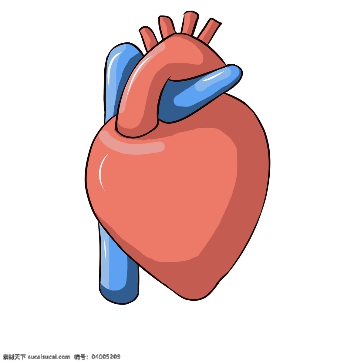 红色 心脏 装饰 插画 红色的心脏 漂亮的心脏 心脏装饰 心脏插画 立体心脏 卡通心脏 健康的心脏