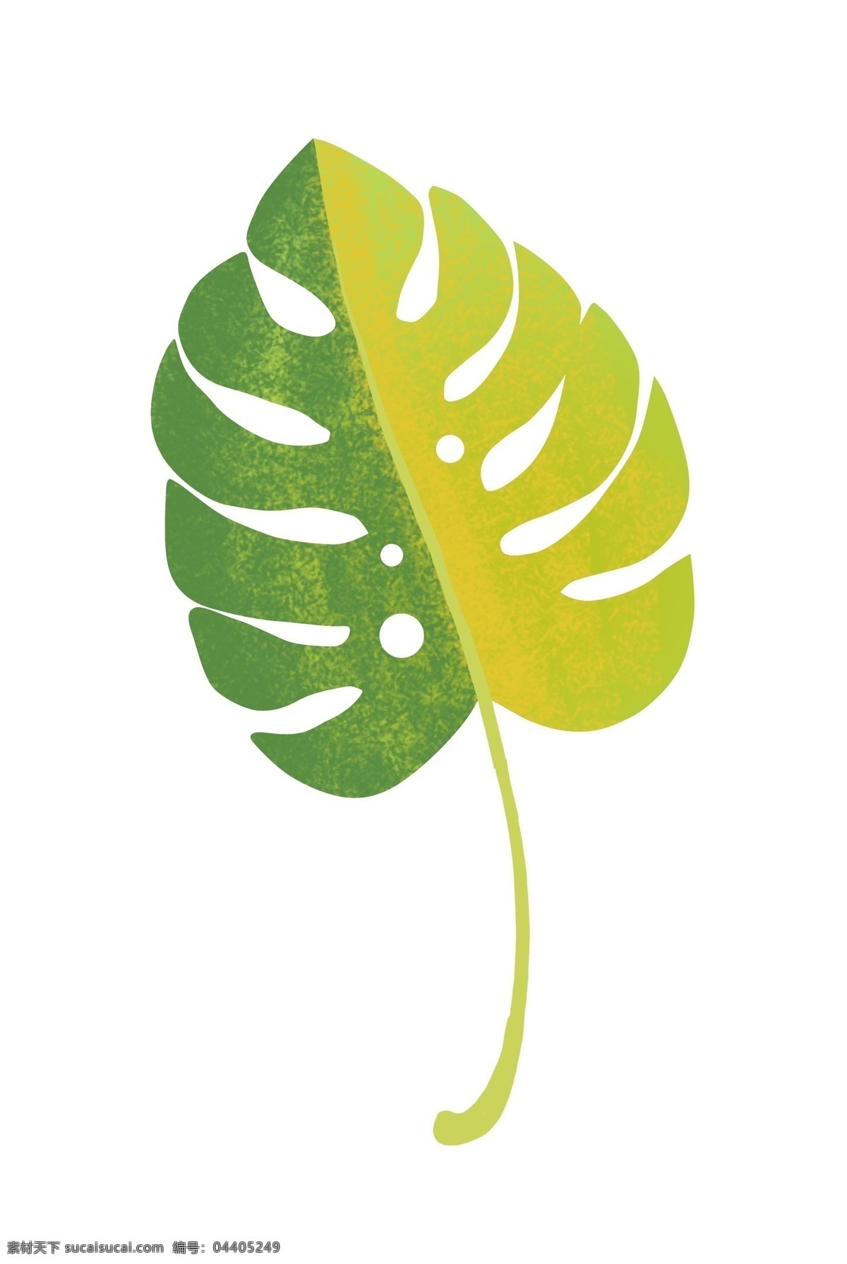 泛黄 绿色 叶子 插画 一片叶子 树叶 植物 植物插画 泛黄的叶子 绿叶插画 卡通植物插画 精美的树叶