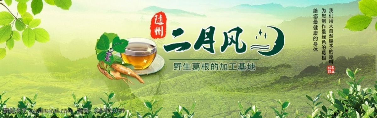 二月 风 葛根 粉 企业 宣传 图 葛根粉 企业宣传 茶 绿色