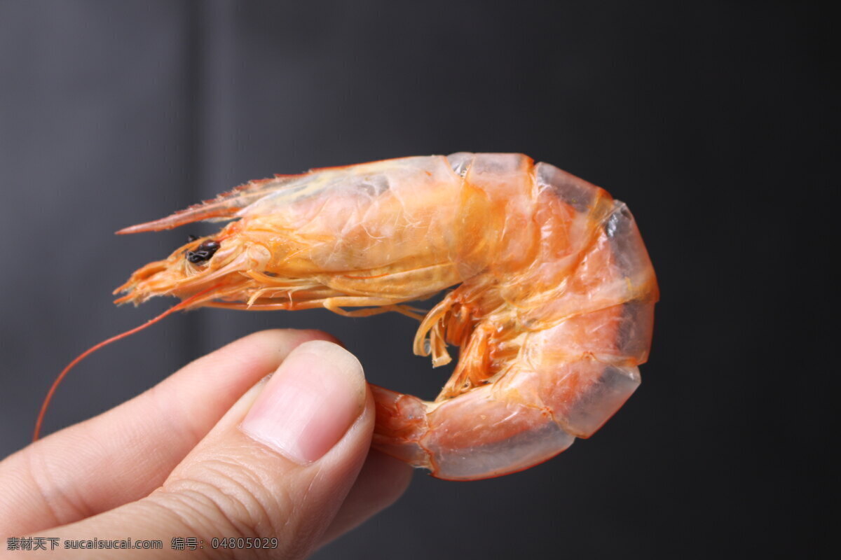 虾干 虾米 金钩 海捕 水产 水产干货 食品摄影图 餐饮美食 食物原料