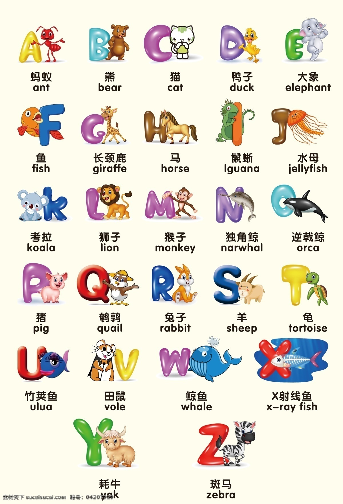 英文字母 动物字母 动物 数字