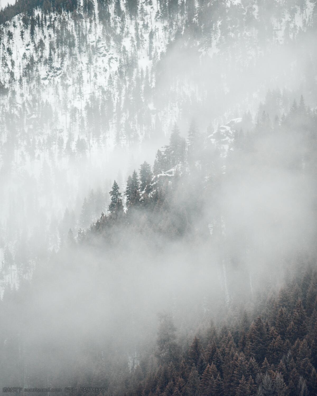 雪山美景 雪山 高山 树木 雾气 雪景 冬季 多娇江山 自然景观 自然风景