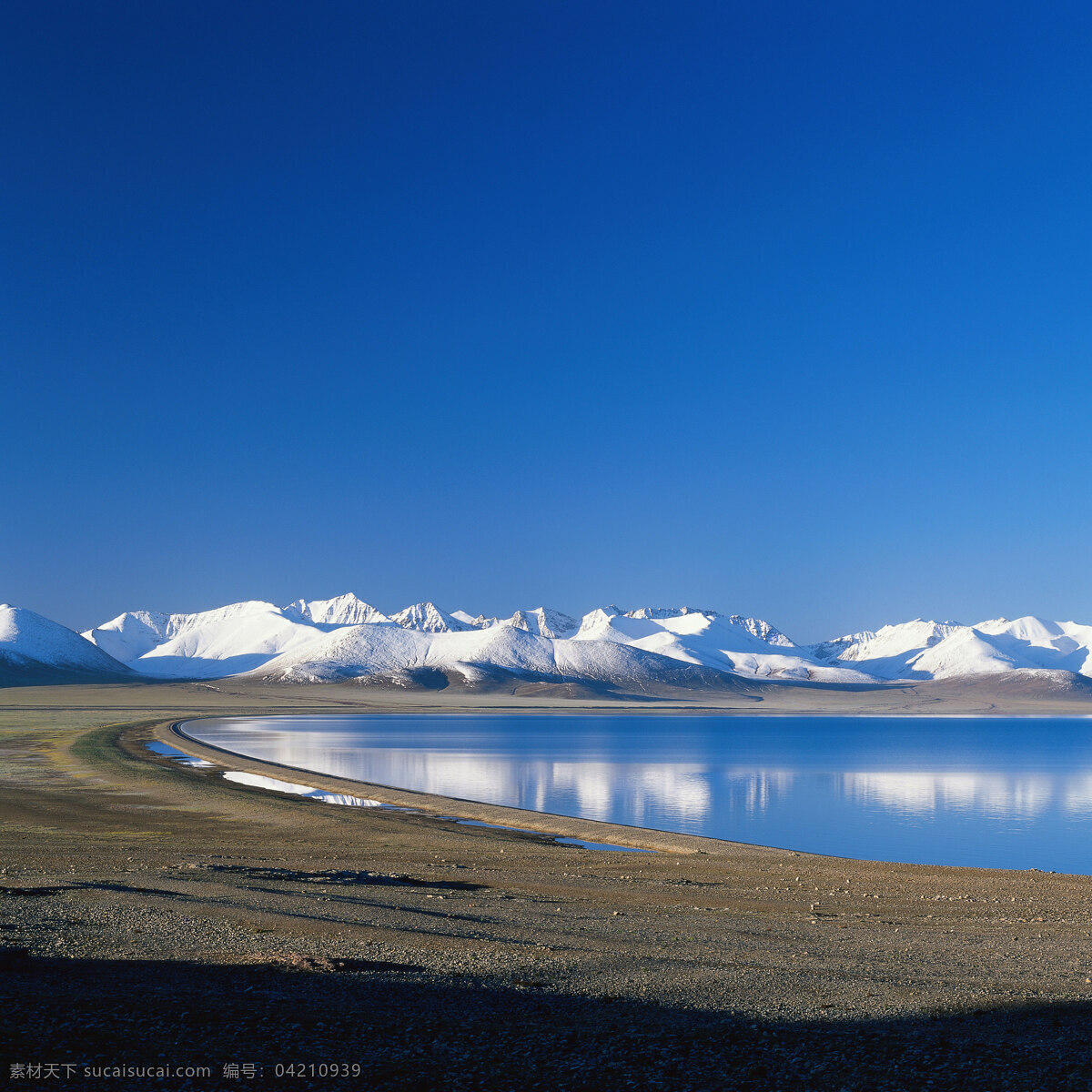 树免费下载 风景 绿色 山水风景 摄影图 树 自然景观 水 家居装饰素材 山水风景画