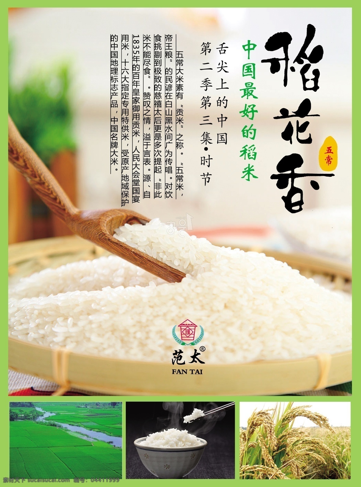 稻花香大米 大米 稻米 食物 稻谷 饭粒