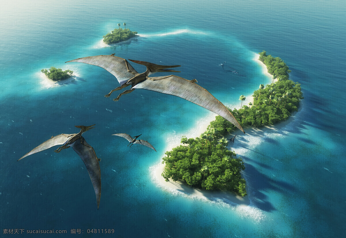 海面 上 飞行 鸟 大海 岛屿 树 椰子树 大海图片 风景图片