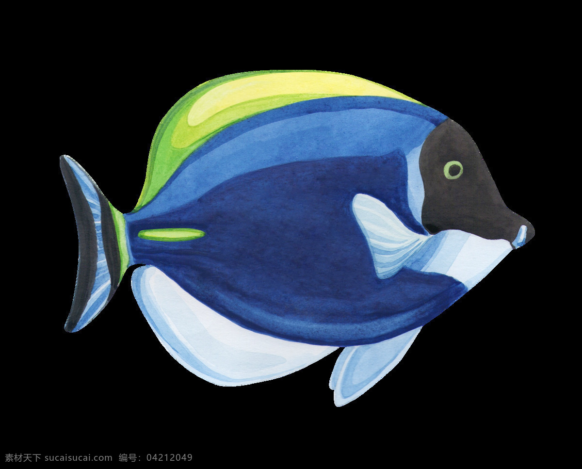 手绘 条 鱼 水彩 透明 观赏 黑色 卡通 蓝色 绿色 免扣素材 透明素材 鱼缸 装饰图案