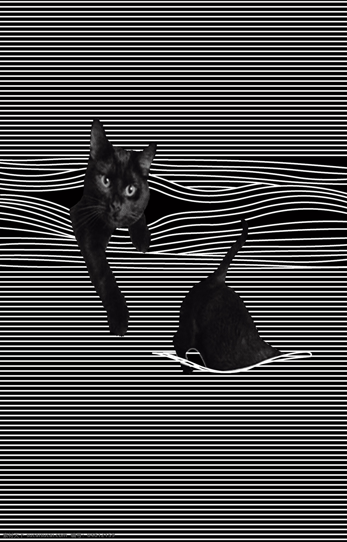 猫咪 数码印花图片 数码印花 大牌印花 手绘花 艺术 印花 数码类 文化艺术 绘画书法