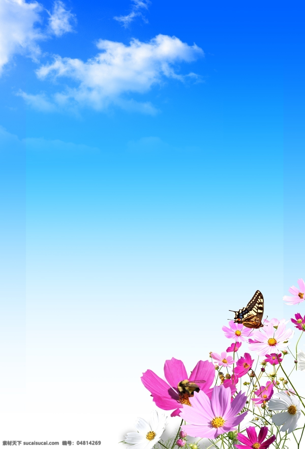 蓝天白云背景 蓝色背景 海报背景 蝴蝶 花丛 展板背景 背景模板 蓝天白云 鲜花 野花 背景