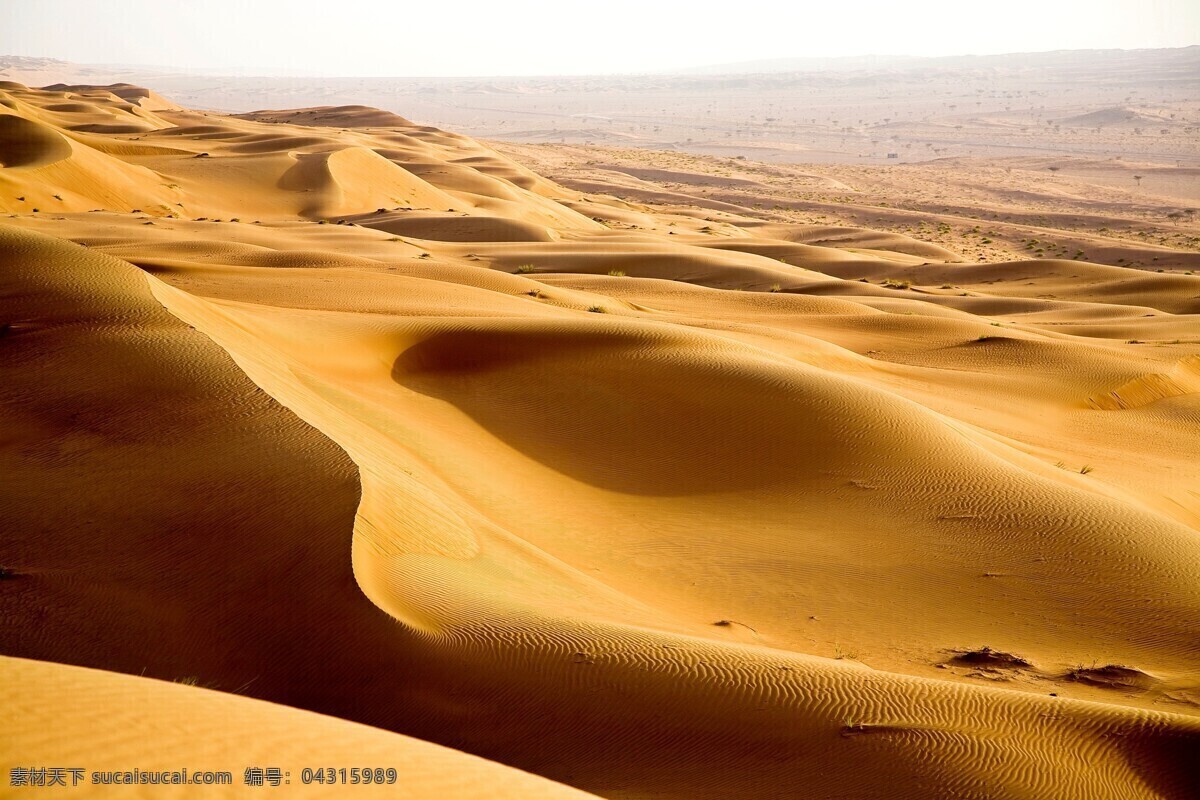 沙漠线条 金色沙漠 沙漠风光 沙漠戈壁 沙漠 沙漠图片 沙漠沙丘 沙漠沙山 库木塔格沙漠 沙漠旅游 沙漠风景 自然风景 旅游摄影 国外旅游