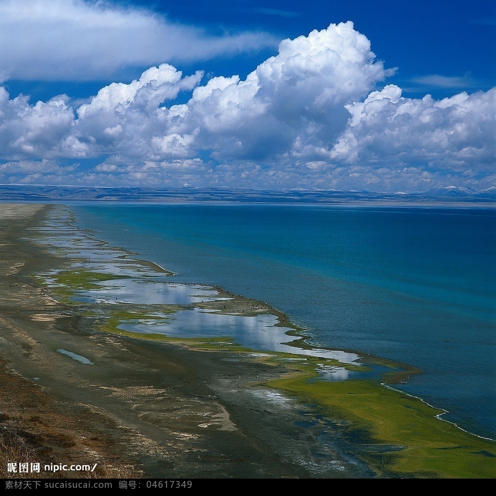 海边美景 大海 海边 海草 原生态 蓝天 白云 云朵 大自然 自然景观 自然风景 摄影图库