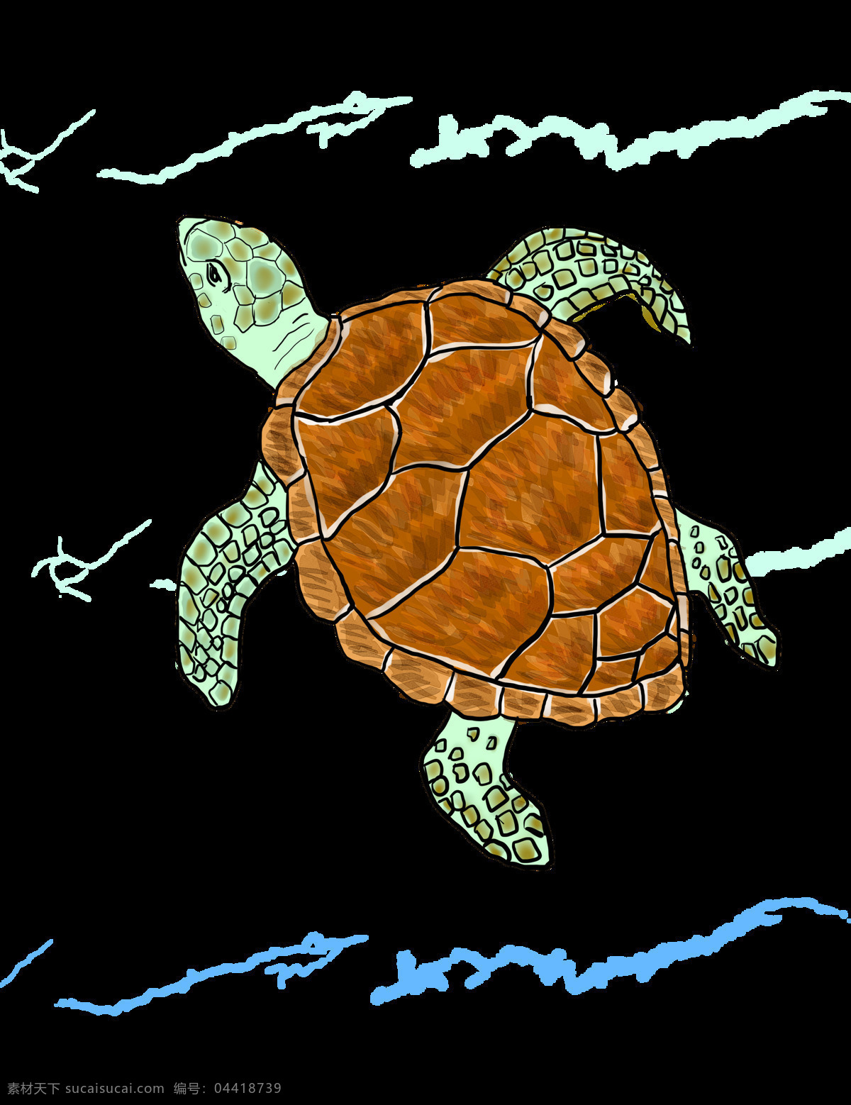 海洋生物 乌龟 龟 王八 玄武 大海龟 卡通 动漫 插画 动物世界 生物世界
