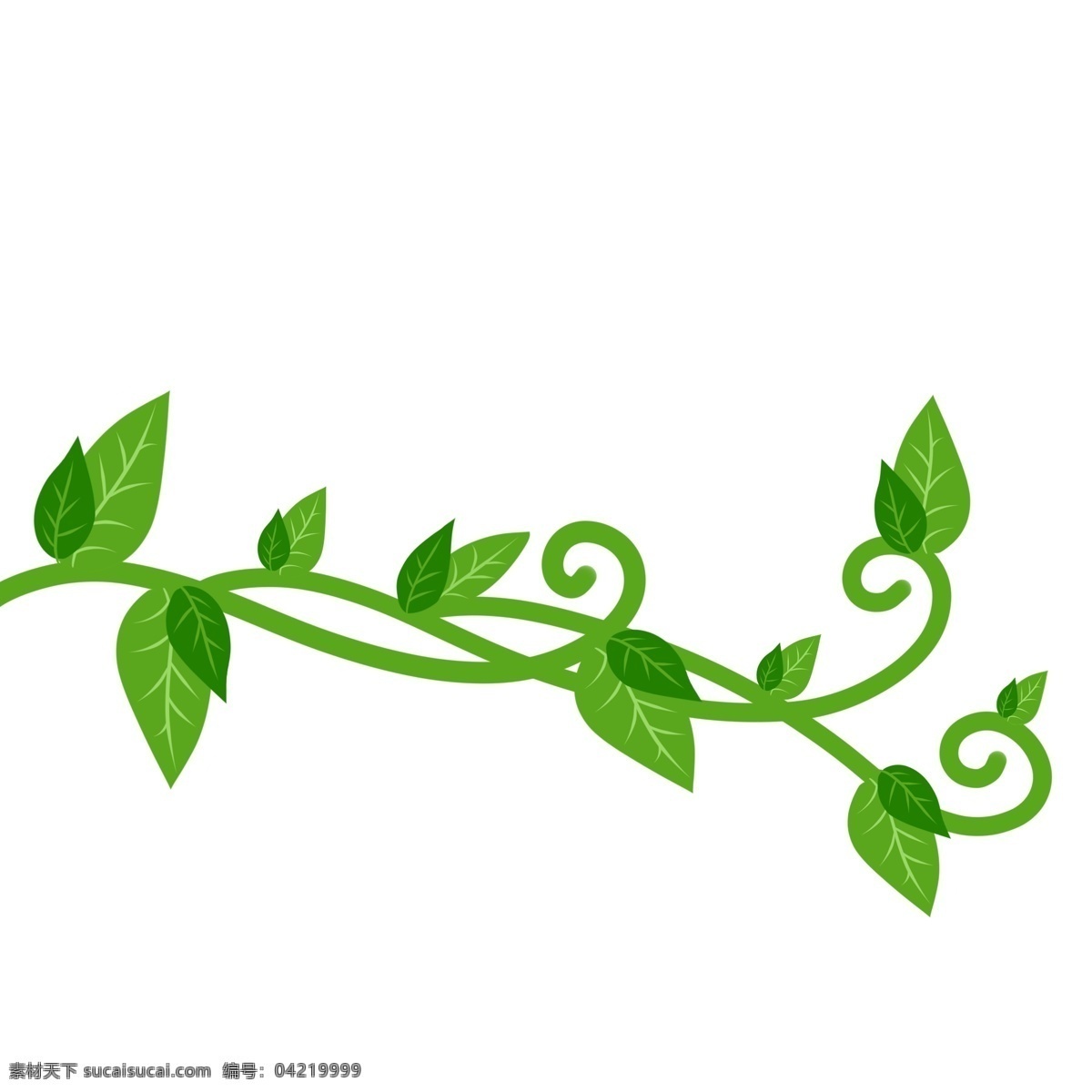绿色植物 叶子 蔓藤 绿色 植物 中药 墨绿 灌木丛 春天 栖息 草本植物 温经驱寒 装饰 贴画