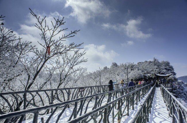 唯美 公园 雪景 灰色