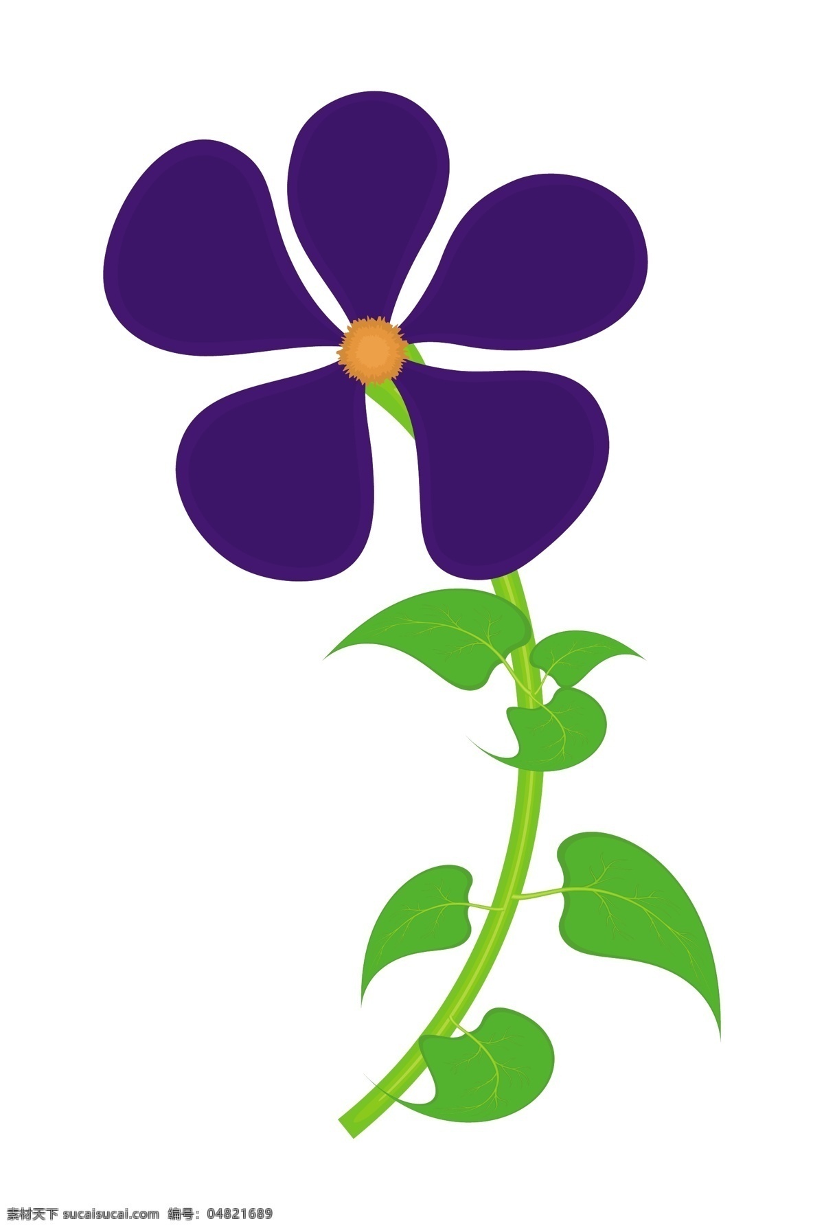 紫色 花朵 矢量 白色