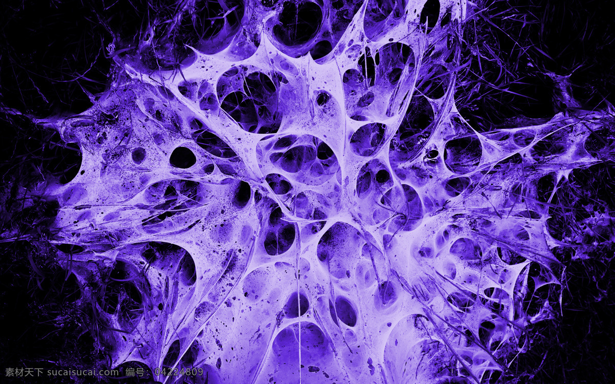 细胞 海绵 紫色 生命 延续 结构 延生 膜 分裂 背景底纹 底纹边框