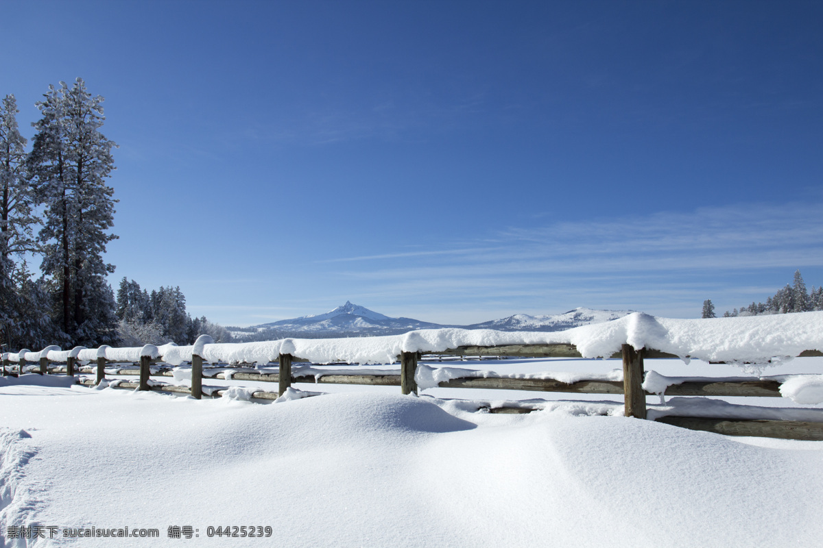 冰天雪景 冰天 雪地 银装素裹 白雪皑皑 雪景 摄影库 自然景观 自然风景