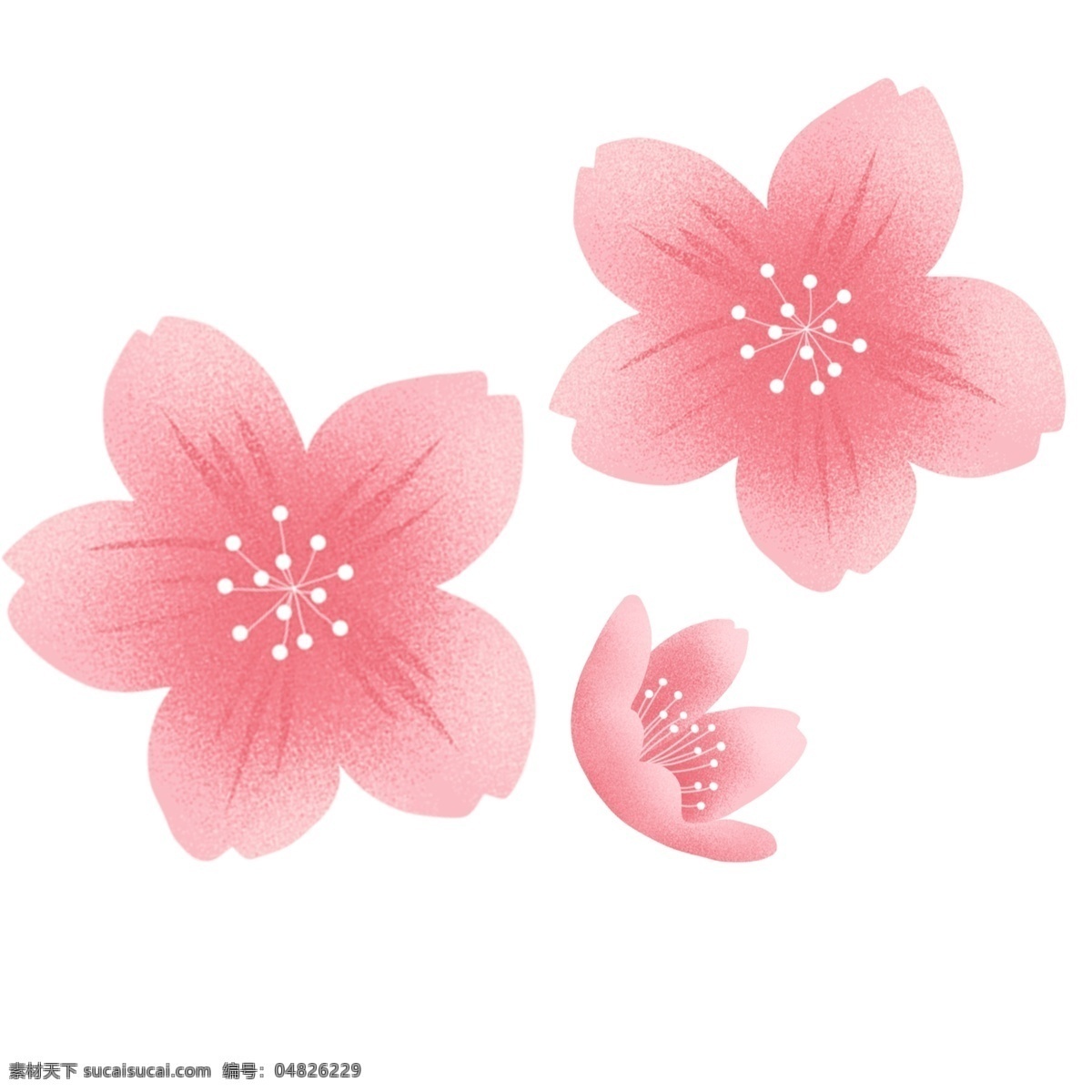 粉色 樱花 花瓣 装饰 元素 装饰元素 花朵 梦幻 少女心 粉嫩 盛开 美丽