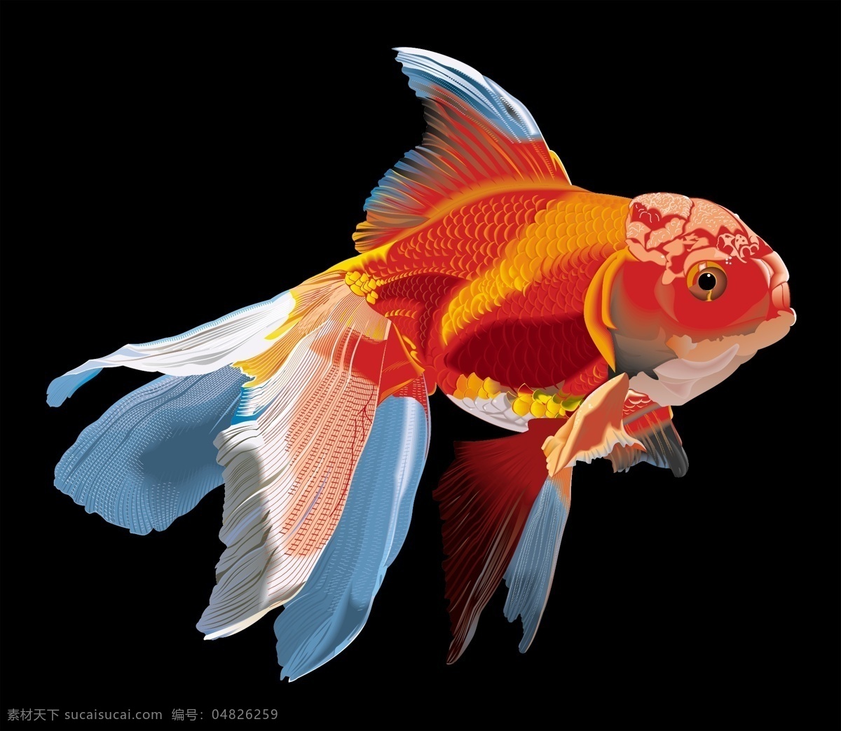 插画 红色金鱼 矢量素材 金鱼矢量 文化艺术 绘画书法