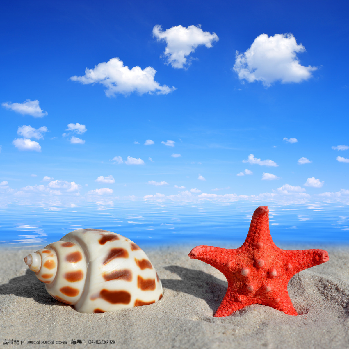 海滩 上 海螺 海星 海滩风景 蓝天白云 沙滩风景 大海风景 生活人物 人物图片