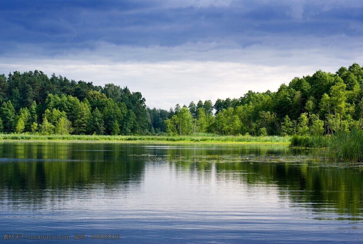 森林风景图片 自然景观 森林风景 行道树 行道树风景 自然风景 唯美风景 风景 风景图片 风景壁纸 大自然风景 自然风光 大自然风光 唯美图片 唯美壁纸 创意图片 植物 植物图片 绿色植物 花草树木 电脑壁纸 美景 美景图片 美景壁纸 旅游风景 森林 森林景观 森林植物