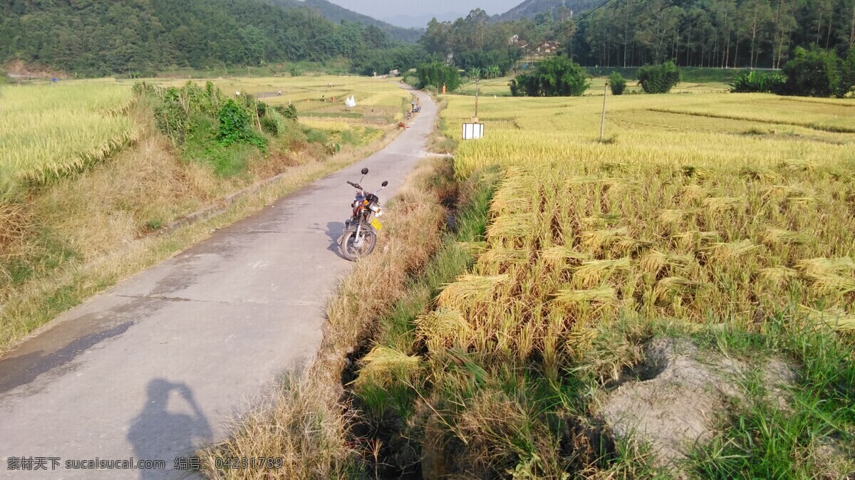 山川的田野 山 山川 田野 田园 农田 稻田 田 自然景观 田园风光