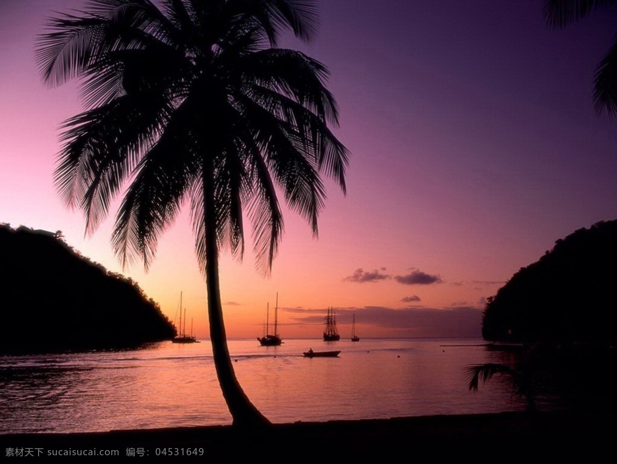 海南 三亚 风景 海滩 椰子树 旅游 休闲 自然景观 自然风景 摄影图库 bmp