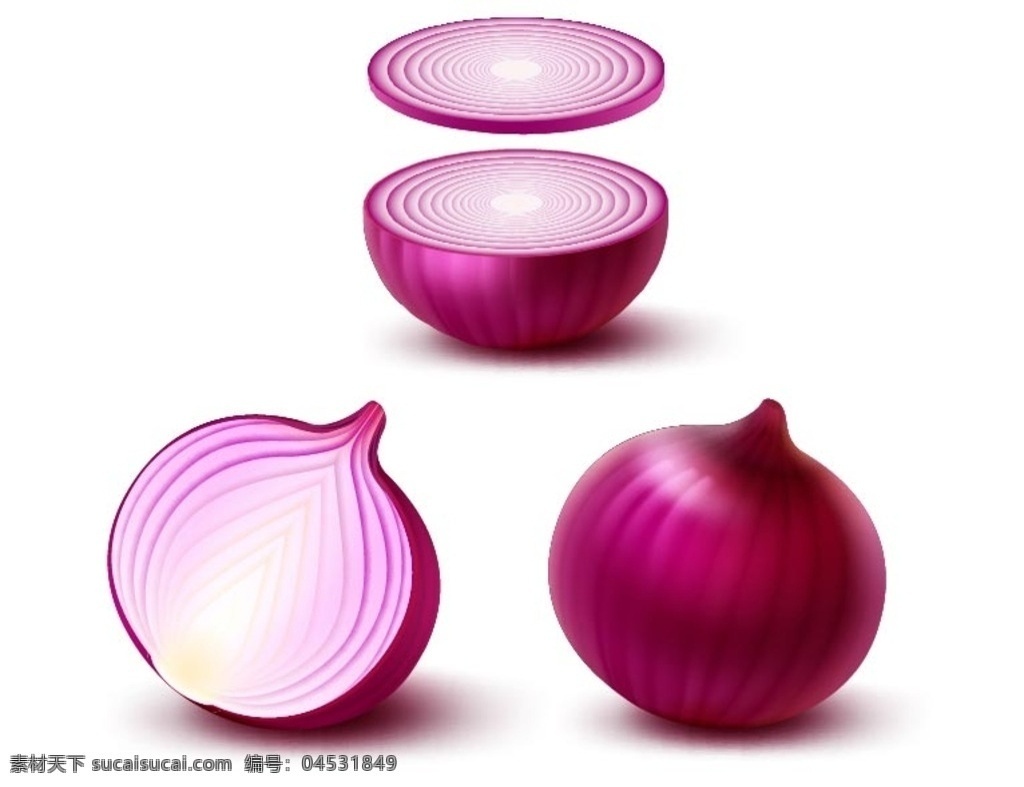 洋葱矢量图 3d洋葱 切片紫洋葱 洋葱 蔬菜 矢量图 卡通设计素材 3d设计 3d作品