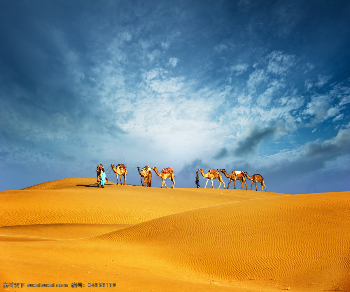 沙漠 上 骆驼 队 沙漠风景 荒漠 美丽沙漠 自然美景 美丽风景 美丽景色 其他类别 生活百科 橙色