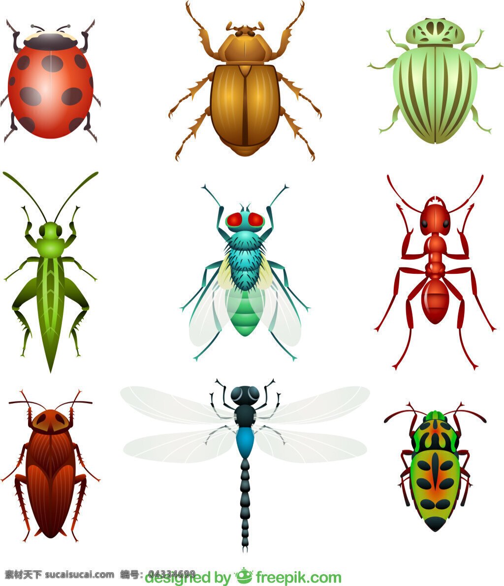 昆虫设计矢量 瓢虫 金龟子 甲壳虫 苍蝇 蚂蚁 蟑螂 蜻蜓 蚱蜢 昆虫 动物 矢量图 ai格式 白色