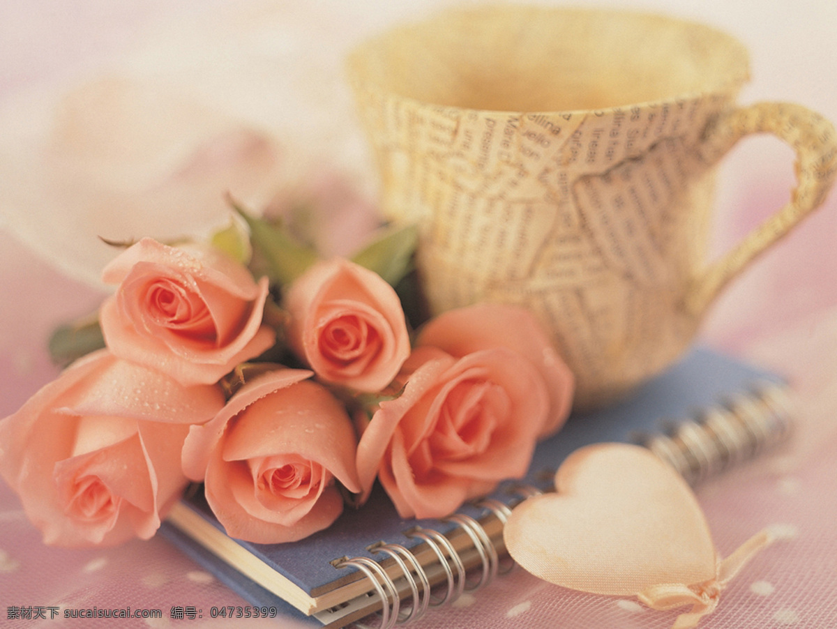 香槟 玫瑰 咖啡 壁纸 书页 爱情 玫瑰花壁纸 杯子 粉玫瑰 玫瑰花 花瓣 花草 生物世界