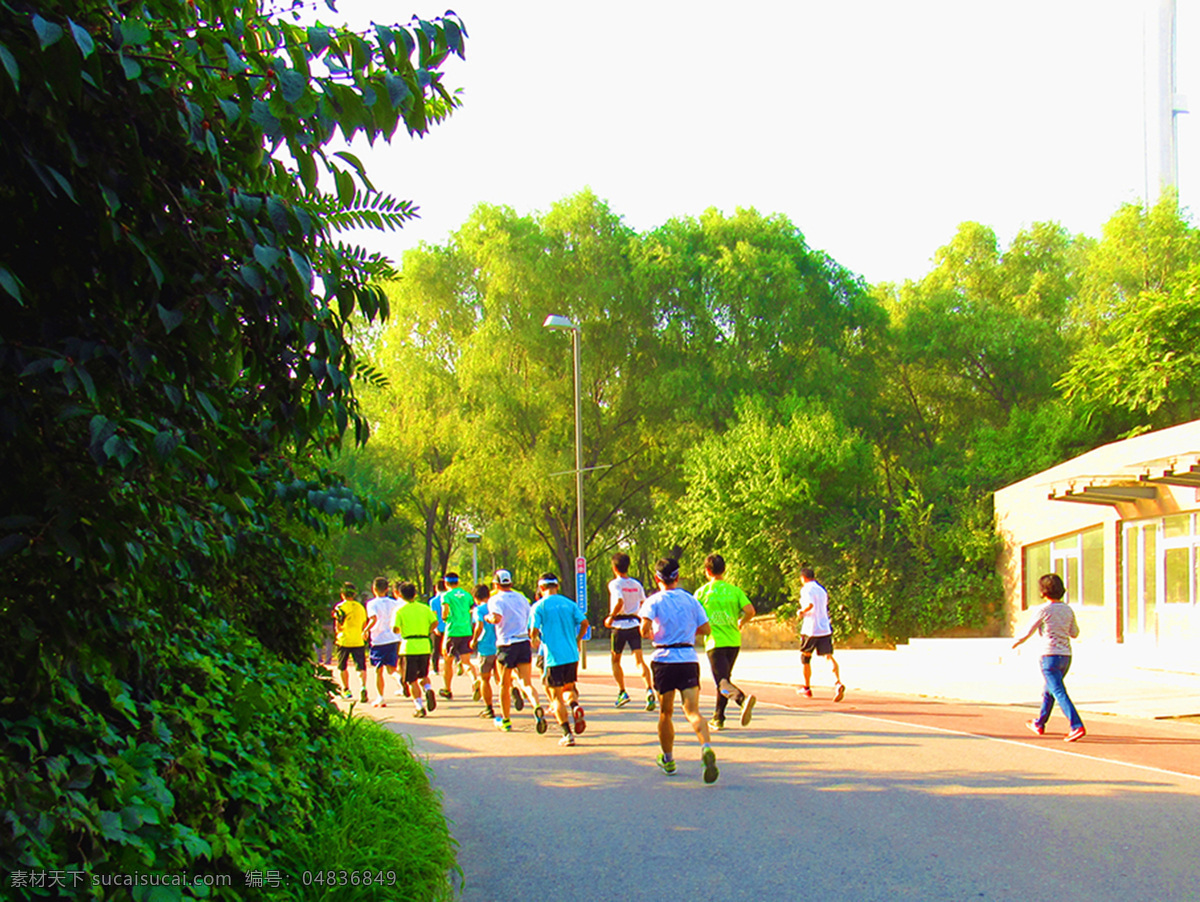 森林公园晨跑 森林公园 早晨 日出 林荫道 跑道 市民 晨跑 锻炼 休闲 健身 运动 跑步 城市生活 北京森林公园 自然景观 自然风景