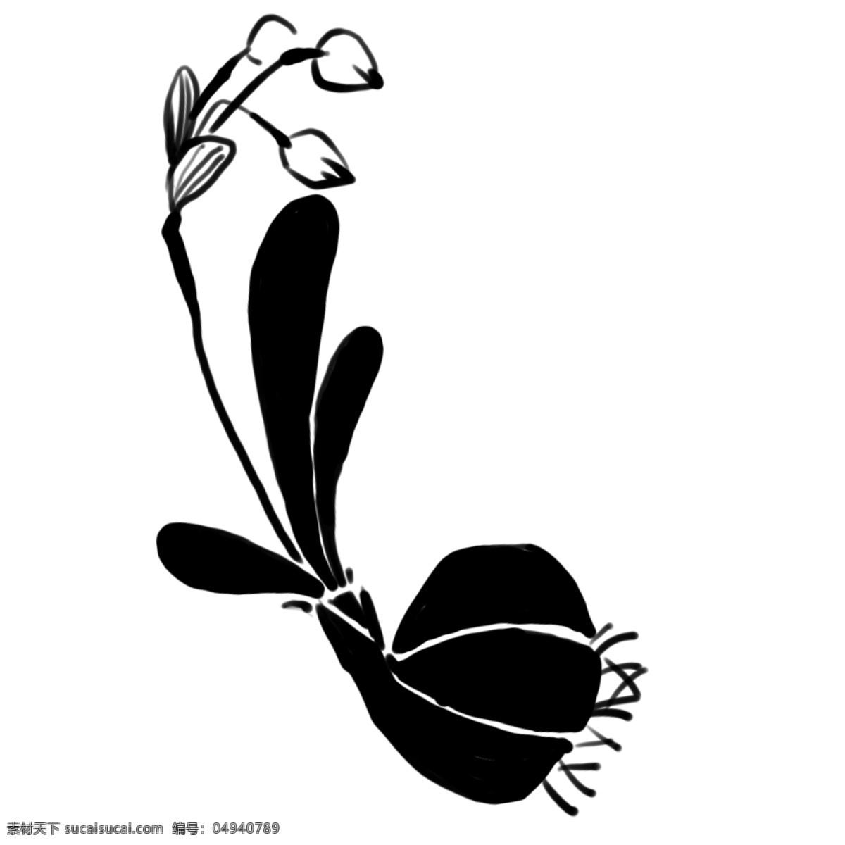 黑色 花朵 花苞 插画 黑色花朵 花朵插图 黑色花苞 猪儿 花卉 植物 黑色植物花卉