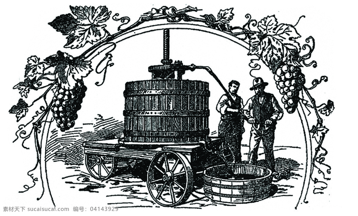 西方 酿酒 过程 图示 西方线描图 西方素描图 酿酒过程图 葡萄酒加工 葡萄酒 酿造 工艺流程 绘画书法 文化艺术