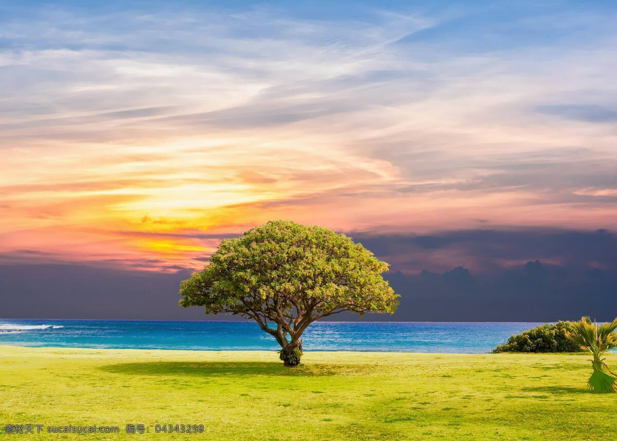 夕阳 下 草原 风光 树木 草地 天空 河流 多娇江山 自然景观 自然风景