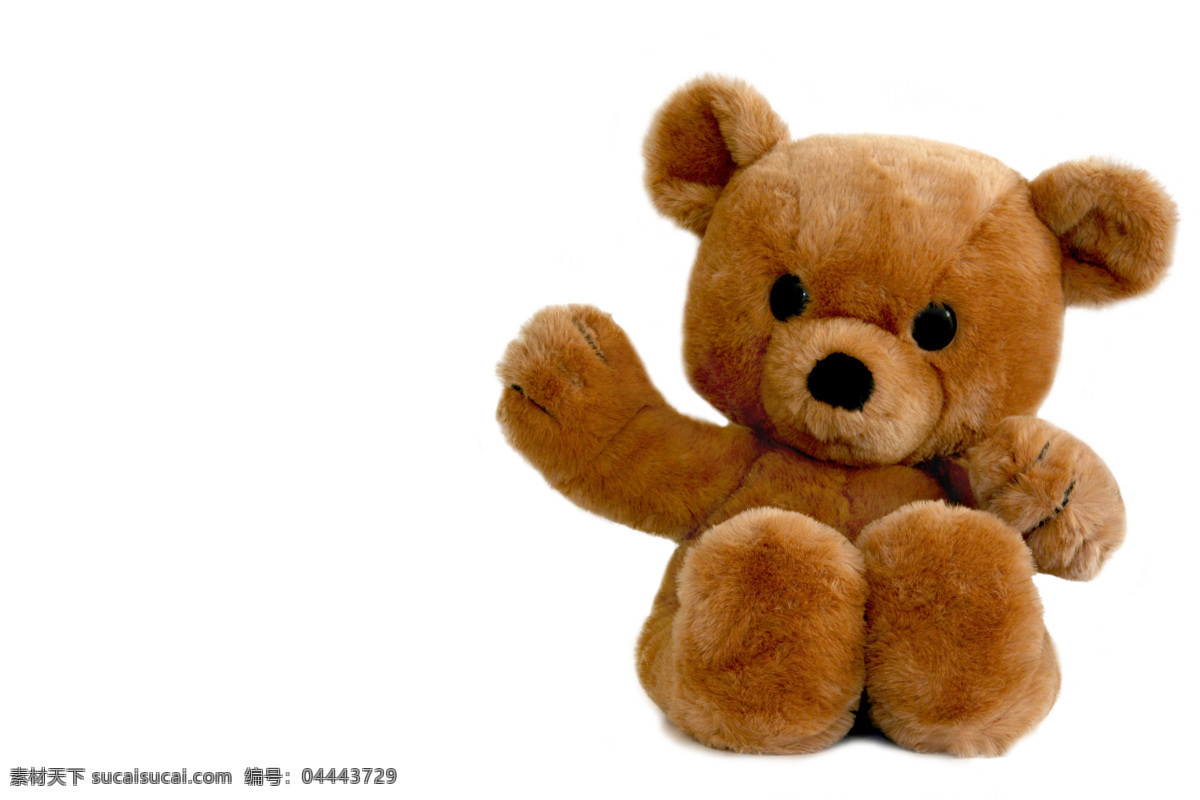 泰迪 熊 高清 可爱泰迪熊 玩具公仔 风景 生活 旅游餐饮