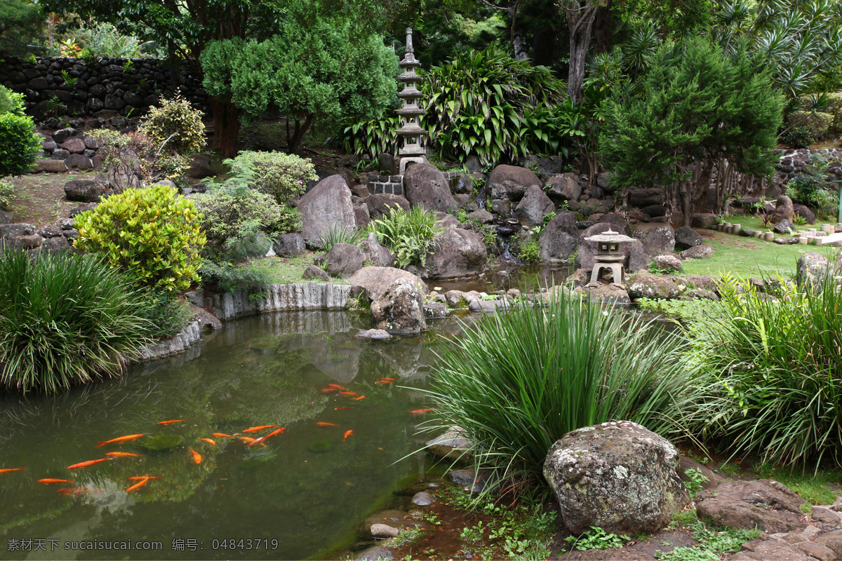 公园 里 金鱼 水池 公园风景 自然风景 其他类别 生活百科