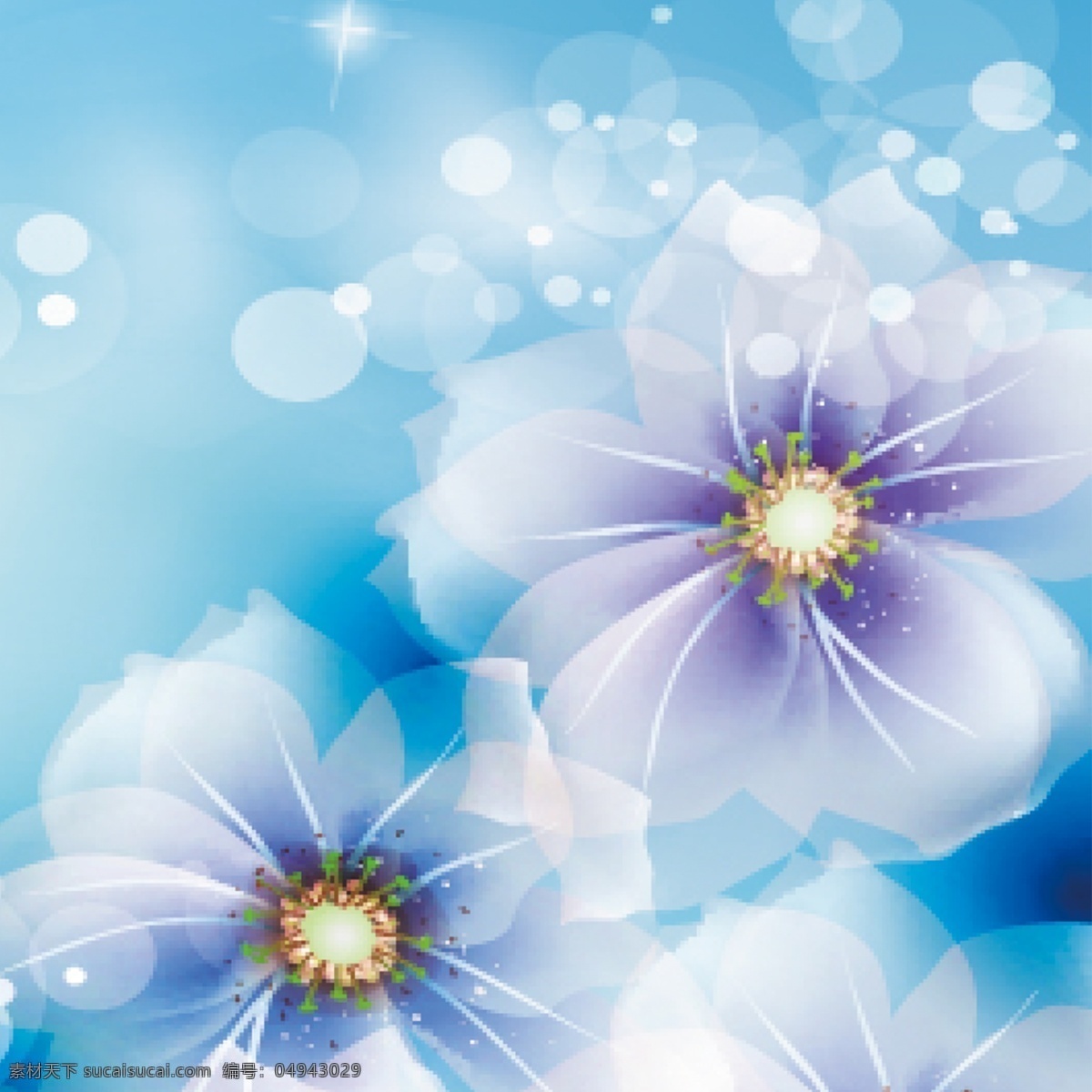 花朵 光圈 高光 蓝色 蓝色素材