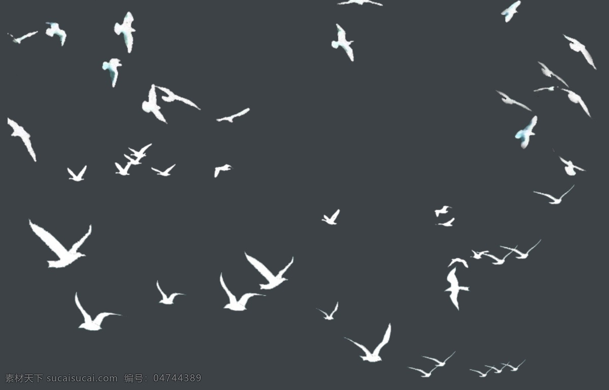 飞鸟 鸽子 飞禽 psd素材 配景素材 飞翔 天空翱翔 白色飞鸟 效果图 后期素材 分层 杂
