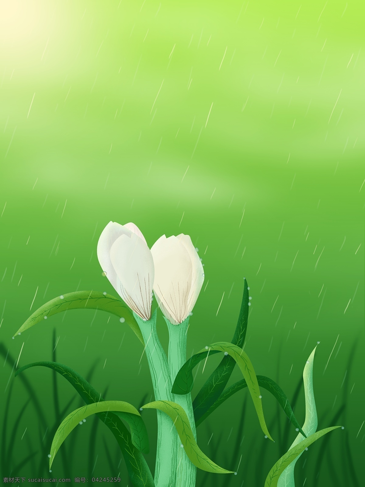 绿色 小清 新手 绘 雨 中 花朵 谷雨 小清新 手绘