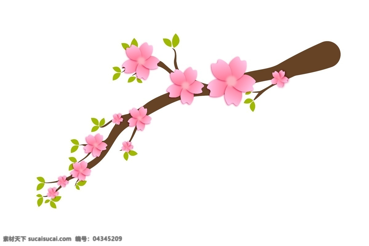 漂亮 春天 好处 好 漂亮的樱花 卡通插画 鲜花插画 花朵插画 花瓣插画 樱花插画 春天的樱花