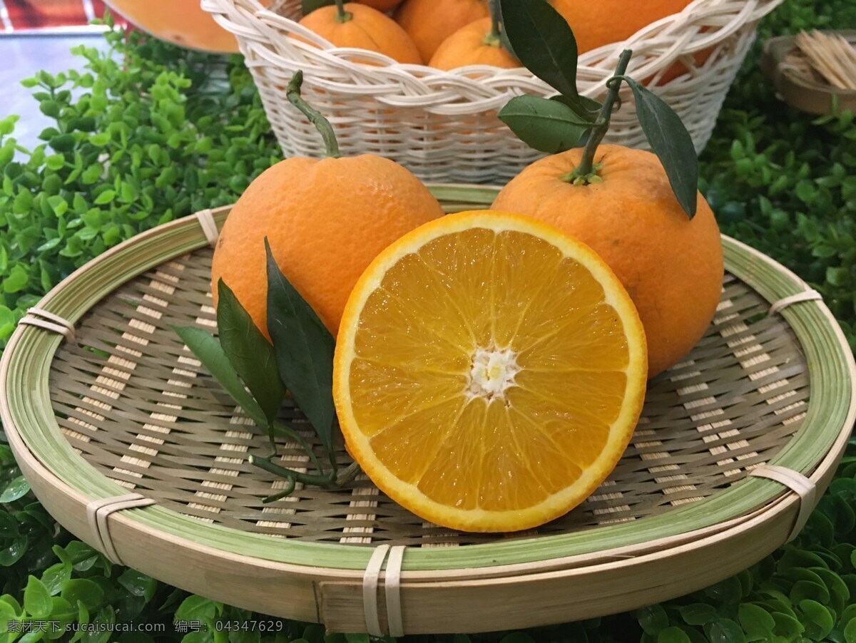 金堂脐橙 脐橙特写 橙子摆盘 橙 脐橙 柑 橘 柑橘 脐橙棚拍 水果 水果素材 电商拍摄 橘橙 沃柑 切开面 横切面 切面 水果摄影 生物世界