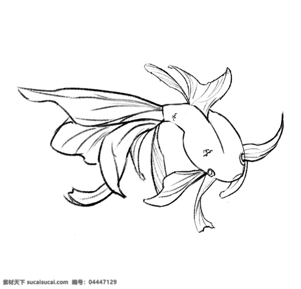 金鱼共享图片 线稿 线稿练习 金鱼线稿 板绘线稿 金鱼 分层 动漫动画 动漫人物