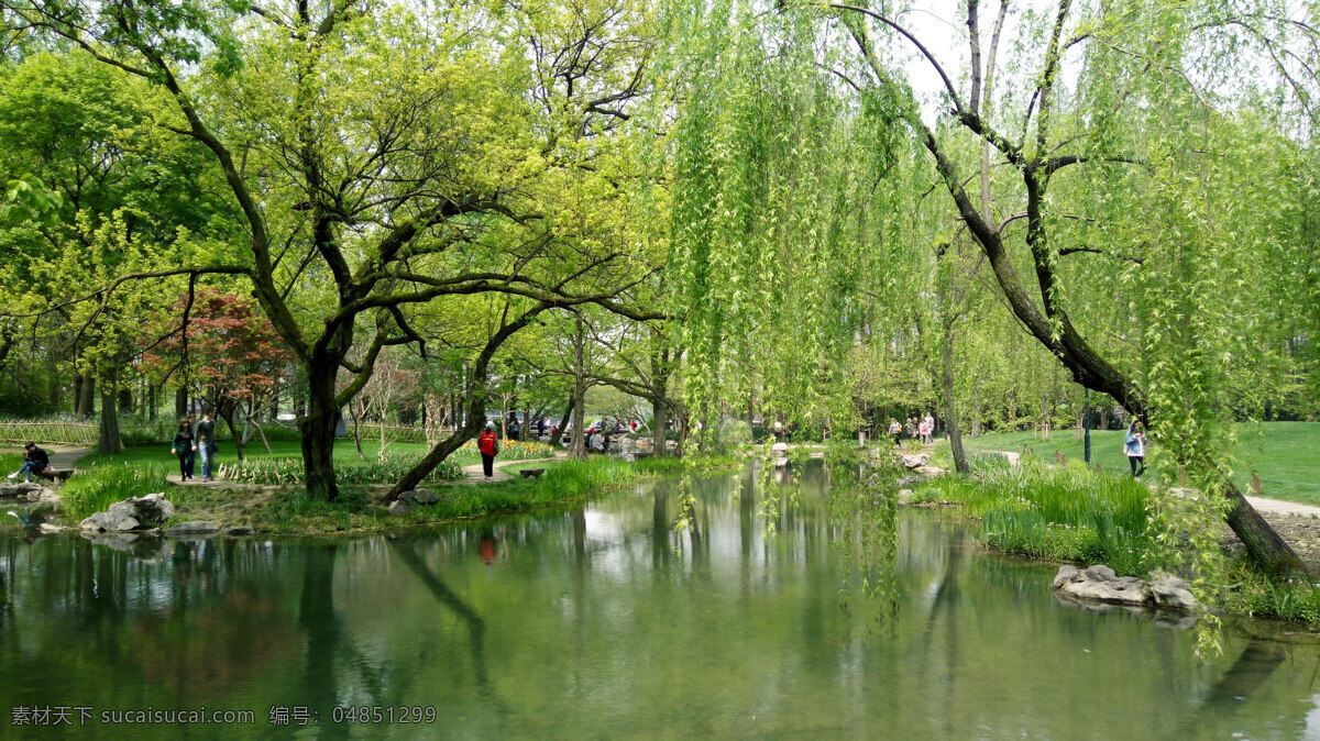 西湖 风景 背景 墙 室内装饰画 室内背景墙 卧室背景墙 沙发背景墙 客厅背景墙 忆江南 江南 江南水乡 山水画 江南风景 电视背景墙 景色 风景摄影 西湖风光 湖光山色 垂柳 柳树 柳枝 柳条 杨柳 溪流 流水 小桥流水 河流 小河 湖泊 水面 湖面 山水 湖 水 湖水 春晓 装饰画 风景画 背景墙 壁画 自然景观 山水风景